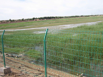 農(nóng)場護欄網(wǎng) 農(nóng)場護欄網(wǎng)