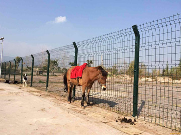 養(yǎng)殖場(chǎng)圍欄網(wǎng) 養(yǎng)殖場(chǎng)圍欄網(wǎng)