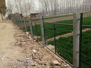 鐵路護欄網(wǎng) 鐵路護欄網(wǎng)