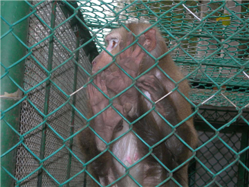 勾花網(wǎng)09 勾花網(wǎng)09