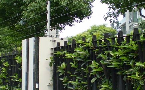 201109081430541459054.jpg 201109081430541459054.jpg